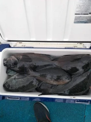 浜吉丸の2024年1月30日(火)5枚目の写真