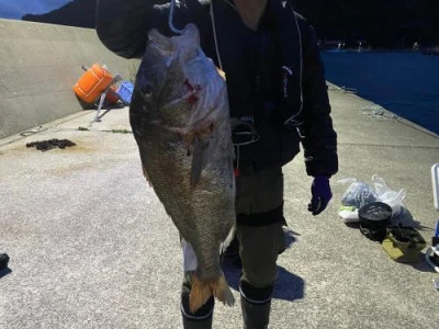 浜吉丸の2024年2月5日(月)2枚目の写真