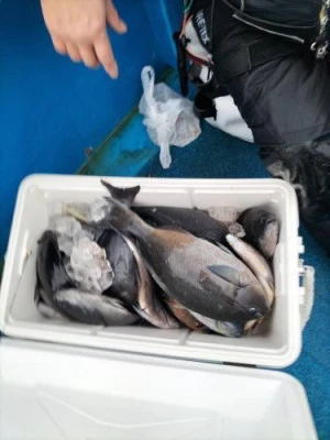 浜吉丸の2024年2月5日(月)3枚目の写真