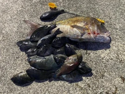 浜吉丸の2024年2月5日(月)5枚目の写真