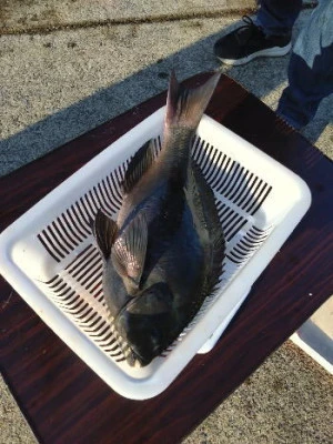 中山総合釣センター・海遊の2024年2月12日(月)2枚目の写真
