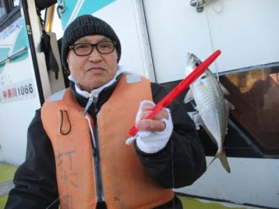 打木屋釣船店の2024年2月13日(火)4枚目の写真