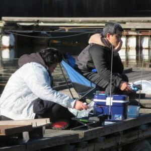 長谷大池釣り池センターの2024年2月18日(日)4枚目の写真