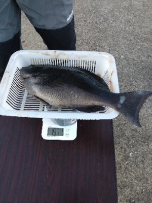 中山総合釣センター・海遊の2024年2月17日(土)4枚目の写真