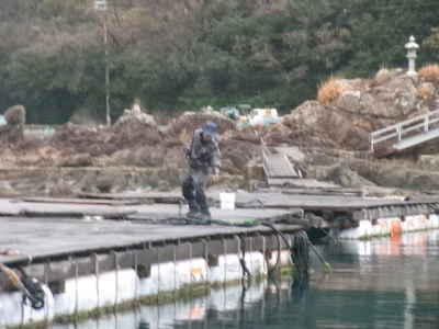 由良海つり公園&釣堀ランドの2024年2月21日(水)1枚目の写真