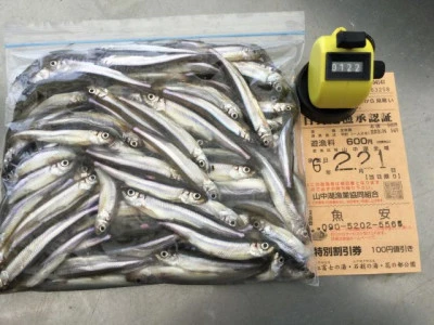 魚安 丸光ボートの2024年2月21日(水)1枚目の写真