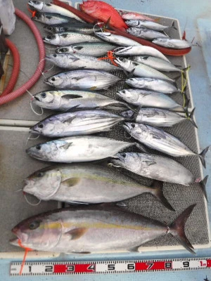 義丸の2024年2月18日(日)3枚目の写真