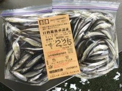 魚安 丸光ボートの2024年2月25日(日)1枚目の写真