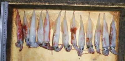 一樹丸の2024年2月24日(土)1枚目の写真