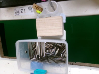 桧原西湖畔オートキャンプ場の2024年2月28日(水)3枚目の写真