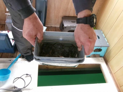 桧原西湖畔オートキャンプ場の2024年2月29日(木)5枚目の写真