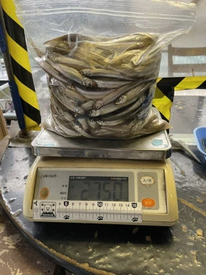 天狗岩の2024年3月2日(土)1枚目の写真