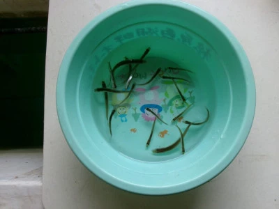 桧原西湖畔オートキャンプ場の2024年3月5日(火)2枚目の写真