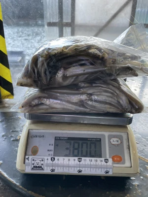 天狗岩の2024年3月9日(土)1枚目の写真