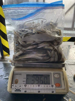 天狗岩の2024年3月10日(日)1枚目の写真