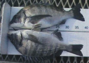 脇田海釣り桟橋の2024年2月8日(木)1枚目の写真