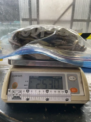 天狗岩の2024年3月11日(月)1枚目の写真