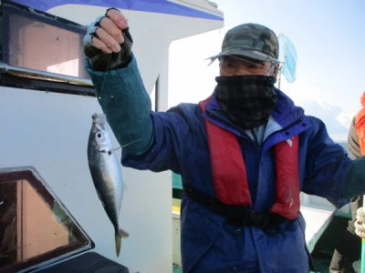 打木屋釣船店の2024年3月13日(水)3枚目の写真
