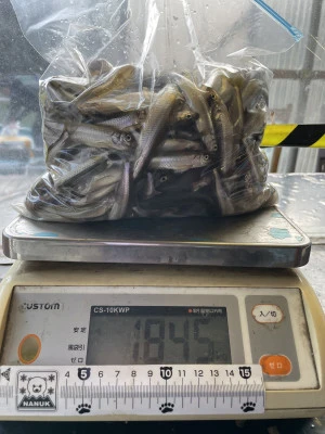 天狗岩の2024年3月14日(木)1枚目の写真