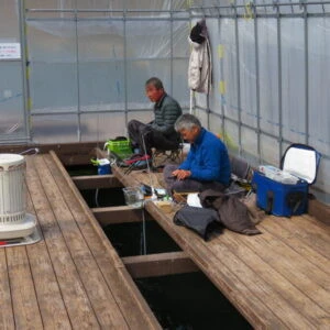 長谷大池釣り池センターの2024年3月18日(月)3枚目の写真