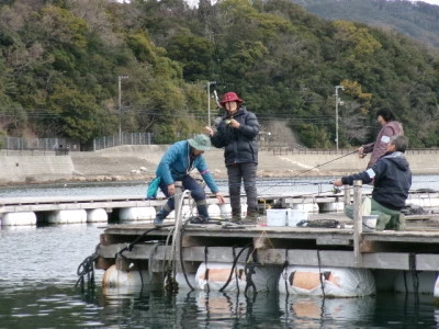 由良海つり公園&釣堀ランドの2024年3月19日(火)1枚目の写真