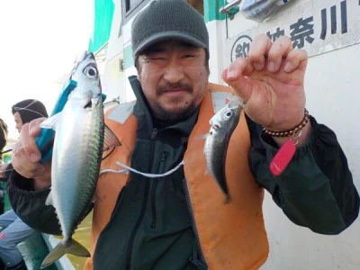打木屋釣船店の2024年3月20日(水)2枚目の写真