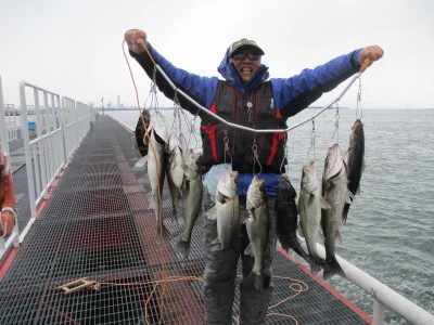 尼崎市立魚つり公園の2024年3月21日(木)1枚目の写真