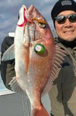 菜々海IIの2024年3月25日(月)5枚目の写真