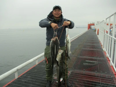 尼崎市立魚つり公園の2024年3月25日(月)1枚目の写真
