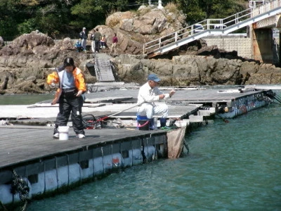 由良海つり公園&釣堀ランドの2024年3月29日(金)1枚目の写真