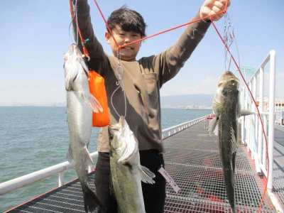 尼崎市立魚つり公園の2024年4月1日(月)1枚目の写真
