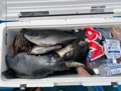 浜吉丸の2024年4月1日(月)5枚目の写真