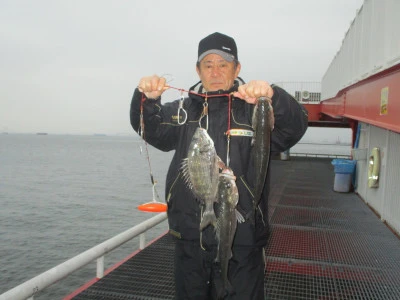 尼崎市立魚つり公園の2024年4月3日(水)1枚目の写真
