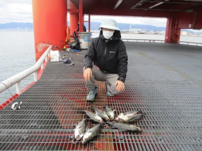 尼崎市立魚つり公園の2024年4月4日(木)2枚目の写真