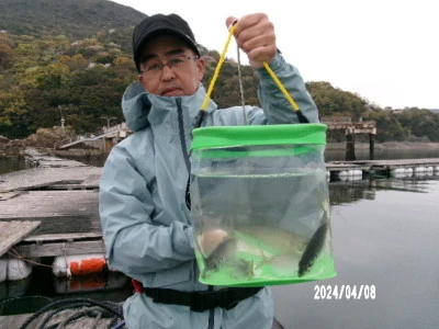 由良海つり公園&釣堀ランドの2024年4月8日(月)2枚目の写真
