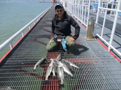 尼崎市立魚つり公園の2024年4月10日(水)1枚目の写真