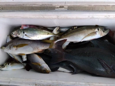 優幸丸の2024年4月10日(水)1枚目の写真