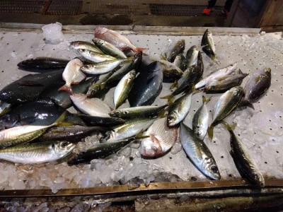 優幸丸の2024年4月10日(水)2枚目の写真