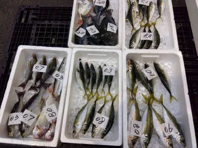 優幸丸の2024年4月10日(水)3枚目の写真