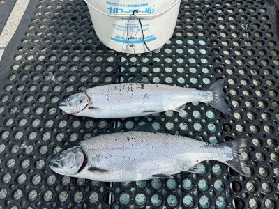 漁恵丸の2024年4月12日(金)1枚目の写真