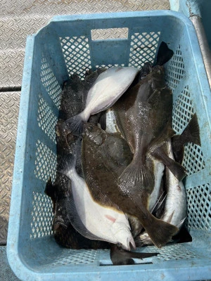 漁恵丸の2024年4月12日(金)2枚目の写真