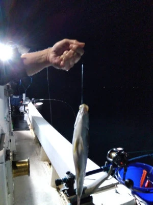 優幸丸の2024年4月13日(土)2枚目の写真