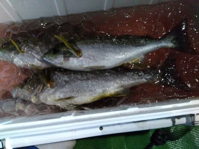 優幸丸の2024年4月13日(土)3枚目の写真