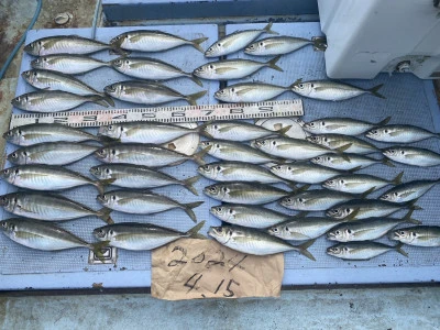 釣り船 秀進丸の2024年4月15日(月)1枚目の写真
