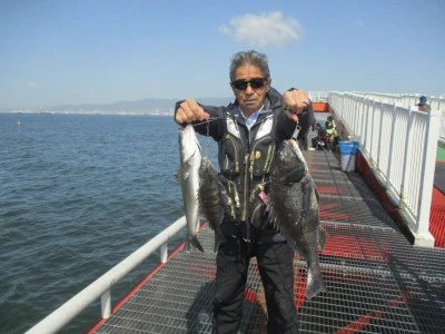 尼崎市立魚つり公園の2024年4月19日(金)1枚目の写真