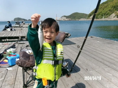 由良海つり公園&釣堀ランドの2024年4月19日(金)1枚目の写真