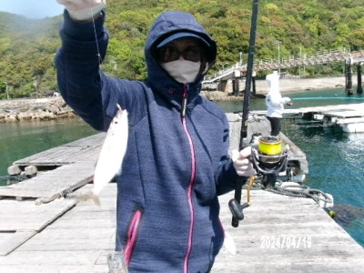 由良海つり公園&釣堀ランドの2024年4月19日(金)2枚目の写真