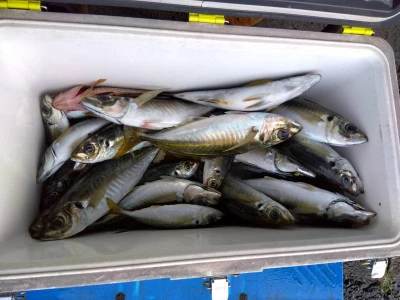 優幸丸の2024年4月19日(金)1枚目の写真