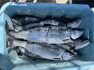 漁恵丸の2024年4月21日(日)2枚目の写真