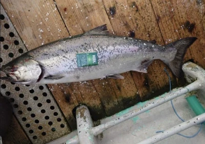 漁恵丸の2024年4月21日(日)3枚目の写真